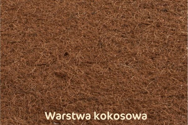 płyt_coco.jpg
